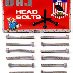 DNJ Engine Components Hex Head Bolts 1/4-20-0